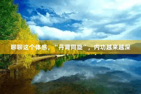 聊聊这个体感，“丹肾同旋”，内功越来越深