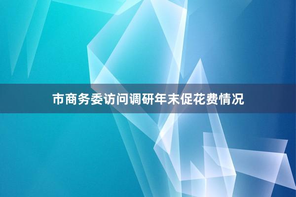 市商务委访问调研年末促花费情况