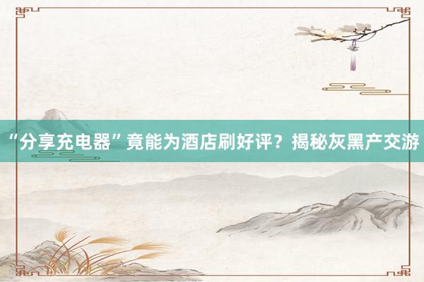 “分享充电器”竟能为酒店刷好评？揭秘灰黑产交游
